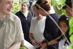 p5090024_jpg_8_20070119_1426042096